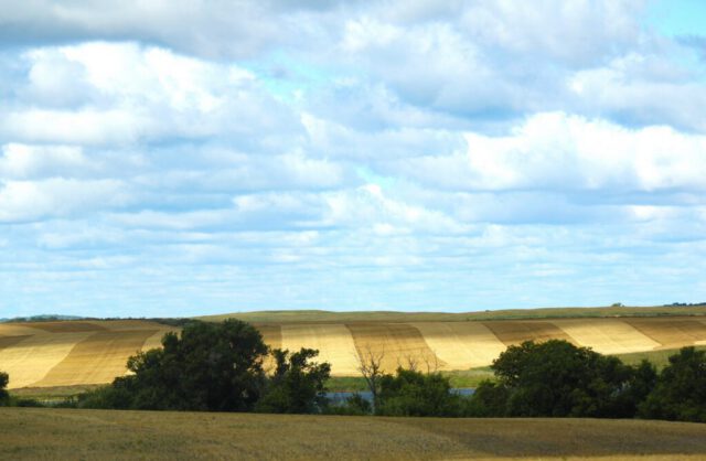 Big Sky Big Sky